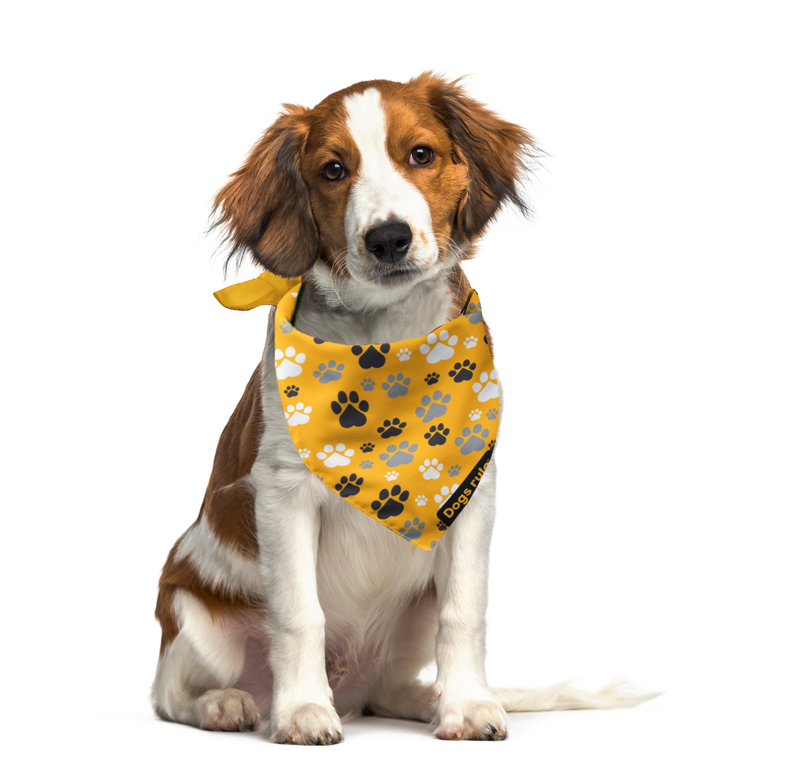 Heart Paw Pup Bandana