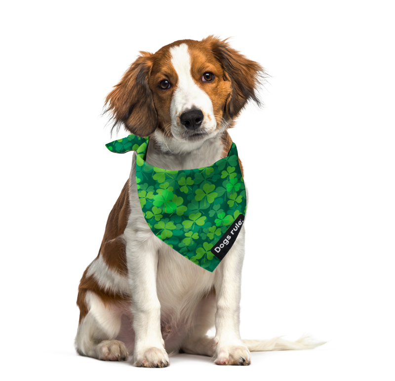 Lucky Pups Bandana