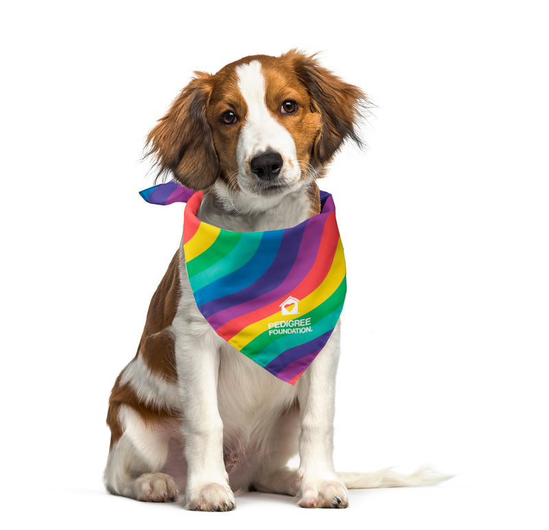 Rainbow Pup Bandana